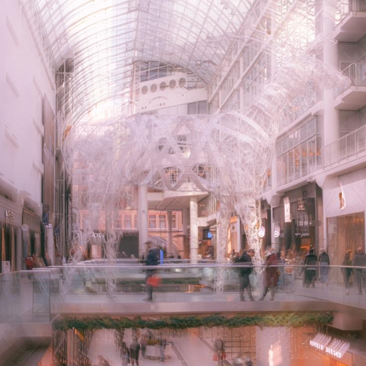 Dining out as an expat family in United States